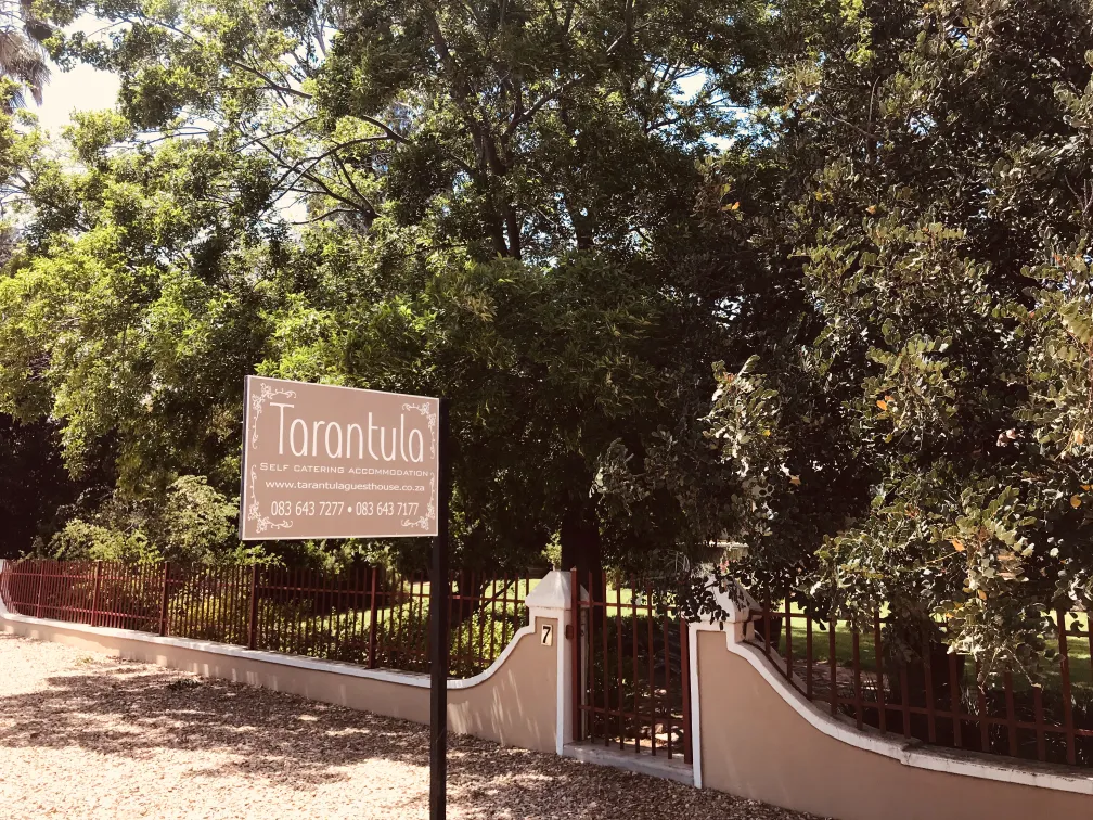 Tarantula Guesthouse exterior